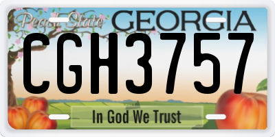 GA license plate CGH3757