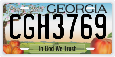 GA license plate CGH3769