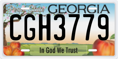 GA license plate CGH3779