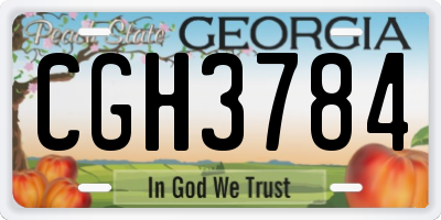 GA license plate CGH3784