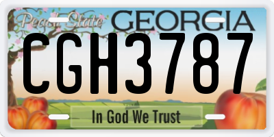 GA license plate CGH3787