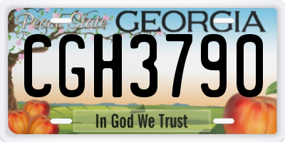 GA license plate CGH3790