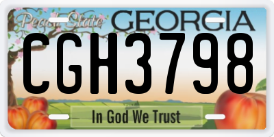 GA license plate CGH3798