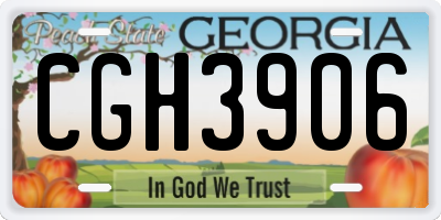 GA license plate CGH3906