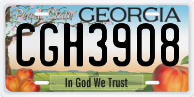GA license plate CGH3908