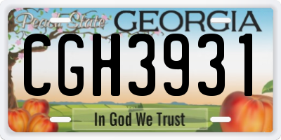GA license plate CGH3931