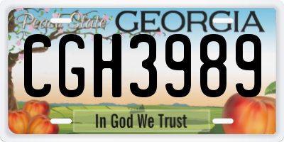 GA license plate CGH3989