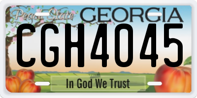 GA license plate CGH4045