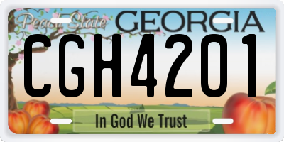 GA license plate CGH4201