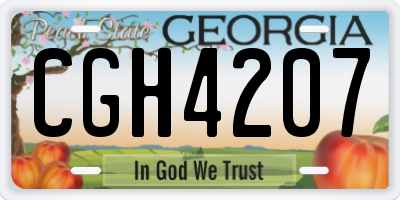 GA license plate CGH4207