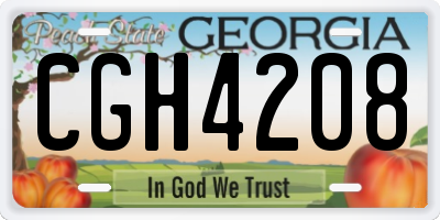 GA license plate CGH4208
