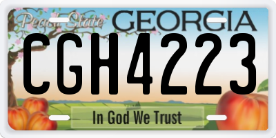 GA license plate CGH4223