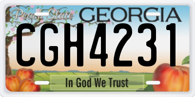 GA license plate CGH4231