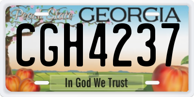 GA license plate CGH4237