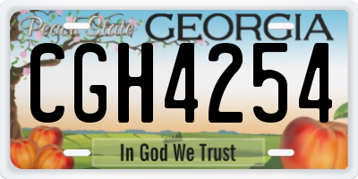 GA license plate CGH4254