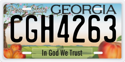 GA license plate CGH4263