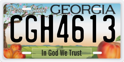 GA license plate CGH4613