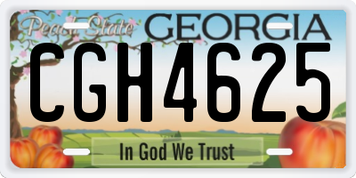 GA license plate CGH4625