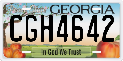 GA license plate CGH4642