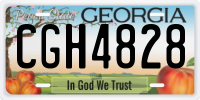 GA license plate CGH4828