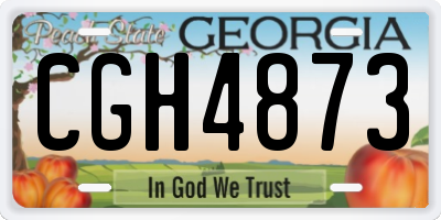 GA license plate CGH4873