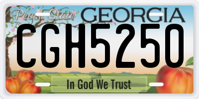 GA license plate CGH5250