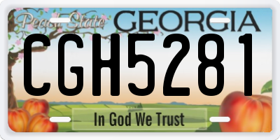 GA license plate CGH5281