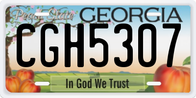 GA license plate CGH5307
