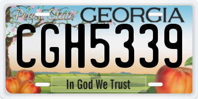GA license plate CGH5339