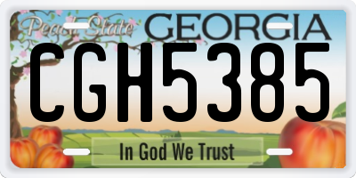 GA license plate CGH5385