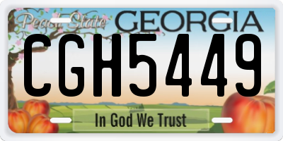GA license plate CGH5449