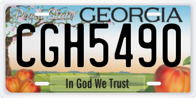 GA license plate CGH5490