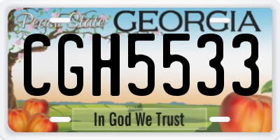 GA license plate CGH5533