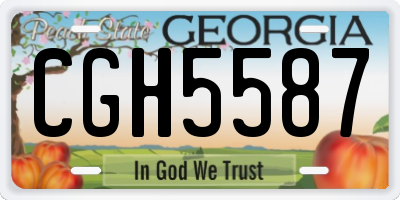 GA license plate CGH5587
