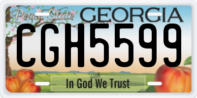 GA license plate CGH5599