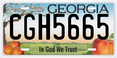 GA license plate CGH5665