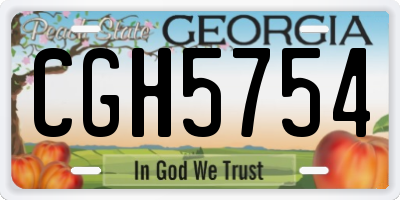 GA license plate CGH5754