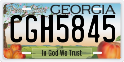 GA license plate CGH5845
