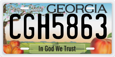 GA license plate CGH5863