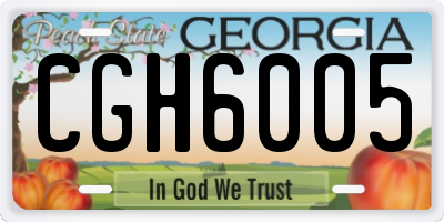 GA license plate CGH6005