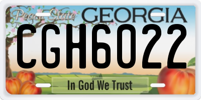 GA license plate CGH6022