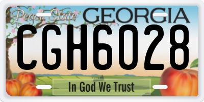 GA license plate CGH6028