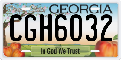 GA license plate CGH6032