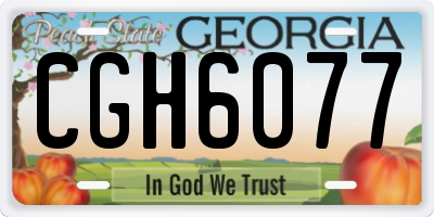 GA license plate CGH6077