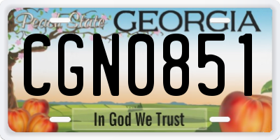 GA license plate CGN0851