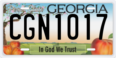 GA license plate CGN1017