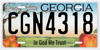 GA license plate CGN4318