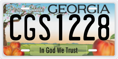 GA license plate CGS1228
