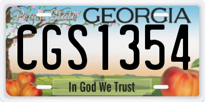 GA license plate CGS1354