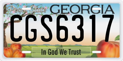 GA license plate CGS6317